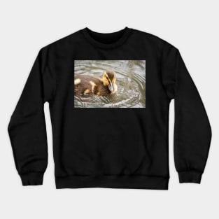 Tiny duckling in the lake Crewneck Sweatshirt